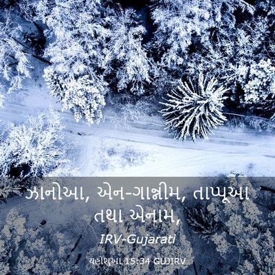 Picture 03 - યહોશુઆ 15:34 GUJIRV - ઝાનોઆ, એન-ગાન્નીમ, - Bible Verse Picture