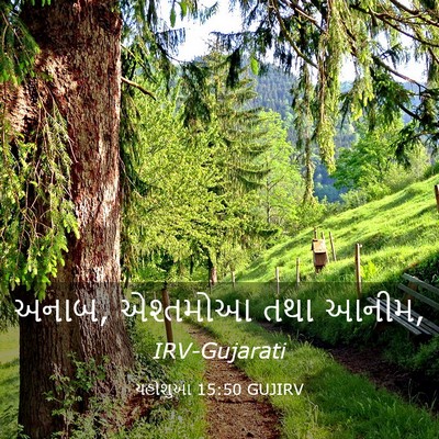 Picture 03 - યહોશુઆ 15:50 GUJIRV - અનાબ, એશ્તમોઆ તથા - Bible Verse Picture