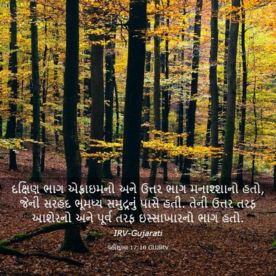 Picture 03 - યહોશુઆ 17:10 GUJIRV - દક્ષિણ ભાગ - Bible Verse Picture