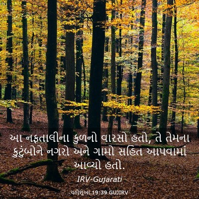 Picture 03 - યહોશુઆ 19:39 GUJIRV - આ નફતાલીના કુળનો - Bible Verse Picture