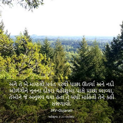 Picture 03 - યહોશુઆ 2:23 GUJIRV - અને તે બે માણસો - Bible Verse Picture