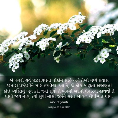 Picture 03 - યહોશુઆ 20:9 GUJIRV - એ નગરો સર્વ - Bible Verse Picture