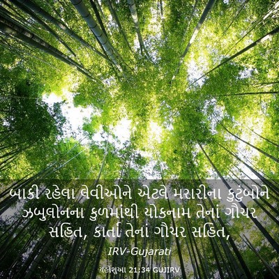 Picture 03 - યહોશુઆ 21:34 GUJIRV - બાકી રહેલા - Bible Verse Picture