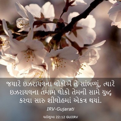 Picture 03 - યહોશુઆ 22:12 GUJIRV - જયારે ઇઝરાયલના - Bible Verse Picture
