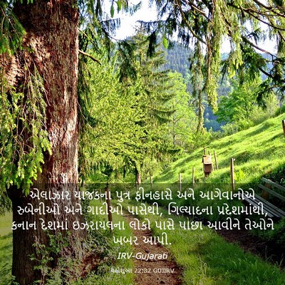 Picture 03 - યહોશુઆ 22:32 GUJIRV - એલાઝાર યાજકના - Bible Verse Picture