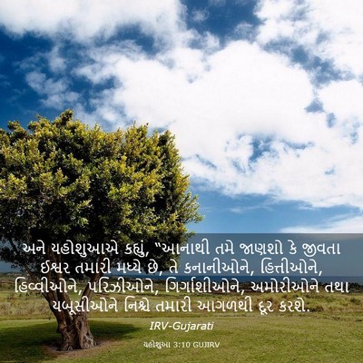 Picture 03 - યહોશુઆ 3:10 GUJIRV - અને યહોશુઆએ - Bible Verse Picture
