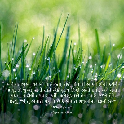Picture 03 - યહોશુઆ 5:13 GUJIRV - અને યહોશુઆ યરીખો - Bible Verse Picture