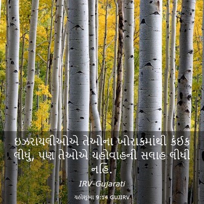 Picture 03 - યહોશુઆ 9:14 GUJIRV - ઇઝરાયલીઓએ તેઓના - Bible Verse Picture
