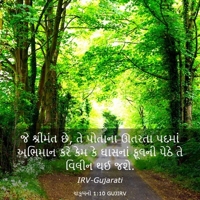 Picture 03 - યાકૂબનો 1:10 GUJIRV - જે શ્રીમંત છે, તે - Bible Verse Picture