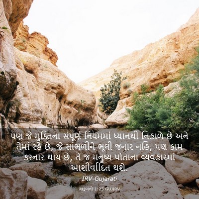 Picture 03 - યાકૂબનો 1:25 GUJIRV - પણ જે મુક્તિના - Bible Verse Picture