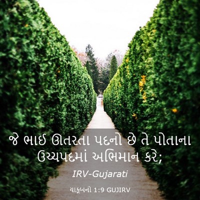 Picture 03 - યાકૂબનો 1:9 GUJIRV - જે ભાઈ ઊતરતા પદનો - Bible Verse Picture