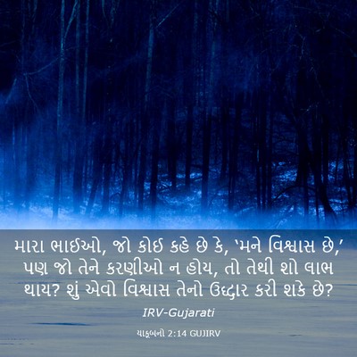 Picture 03 - યાકૂબનો 2:14 GUJIRV - મારા ભાઈઓ, જો કોઈ - Bible Verse Picture