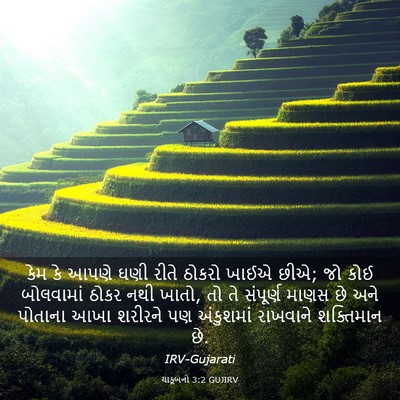 Picture 03 - યાકૂબનો 3:2 GUJIRV - કેમ કે આપણે ઘણી - Bible Verse Picture