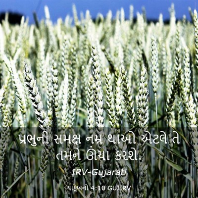 Picture 03 - યાકૂબનો 4:10 GUJIRV - પ્રભુની સમક્ષ - Bible Verse Picture