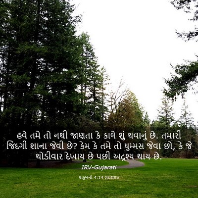 Picture 03 - યાકૂબનો 4:14 GUJIRV - હવે તમે તો નથી - Bible Verse Picture