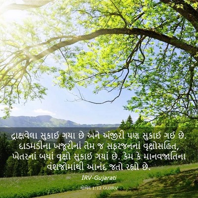 Picture 03 - યોએલ 1:12 GUJIRV - દ્રાક્ષવેલા સુકાઈ - Bible Verse Picture