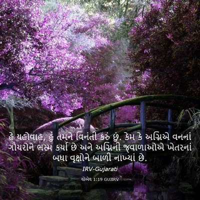 Picture 03 - યોએલ 1:19 GUJIRV - હે યહોવાહ, હું તમને - Bible Verse Picture
