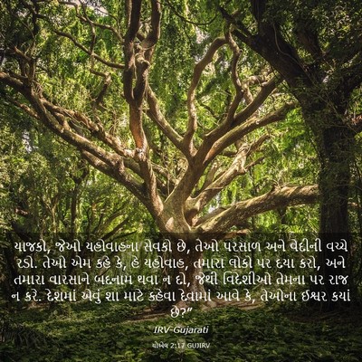 Picture 03 - યોએલ 2:17 GUJIRV - યાજકો, જેઓ - Bible Verse Picture