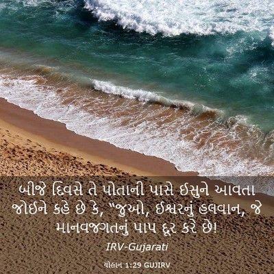 Picture 03 - યોહાન 1:29 GUJIRV - બીજે દિવસે તે - Bible Verse Picture