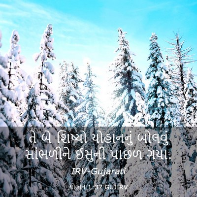 Picture 03 - યોહાન 1:37 GUJIRV - તે બે શિષ્યો - Bible Verse Picture