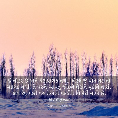 Picture 03 - યોહાન 10:12 GUJIRV - જે નોકર છે અને - Bible Verse Picture