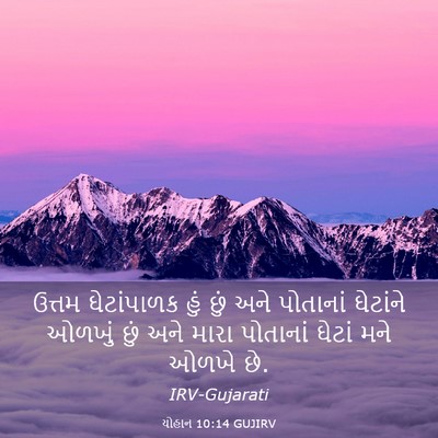 Picture 03 - યોહાન 10:14 GUJIRV - ઉત્તમ ઘેટાંપાળક - Bible Verse Picture