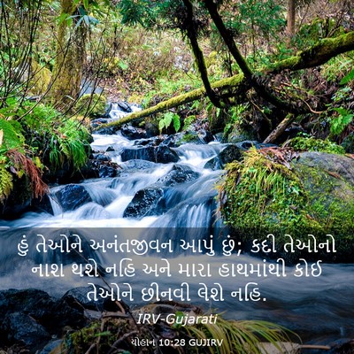 Picture 03 - યોહાન 10:28 GUJIRV - હું તેઓને - Bible Verse Picture