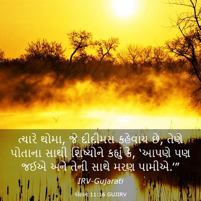 Picture 03 - યોહાન 11:16 GUJIRV - ત્યારે થોમા, જે - Bible Verse Picture