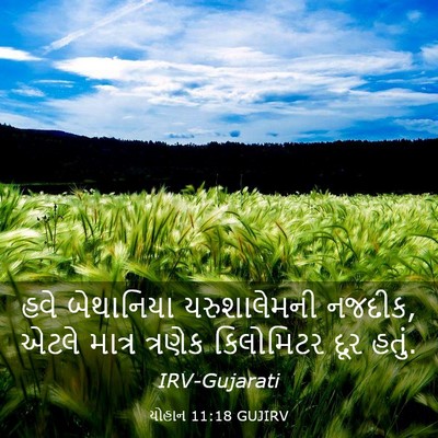 Picture 03 - યોહાન 11:18 GUJIRV - હવે બેથાનિયા - Bible Verse Picture
