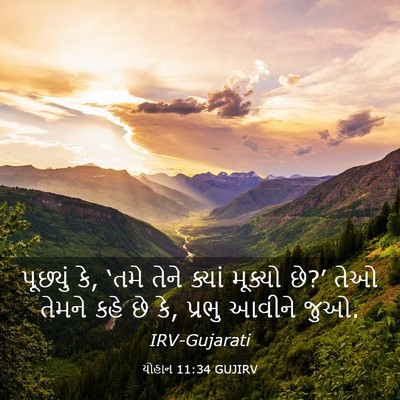 Picture 03 - યોહાન 11:34 GUJIRV - પૂછ્યું કે, ‘તમે - Bible Verse Picture