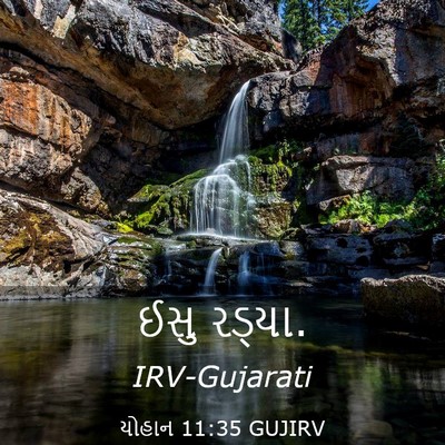 Picture 03 - યોહાન 11:35 GUJIRV - ઈસુ - Bible Verse Picture