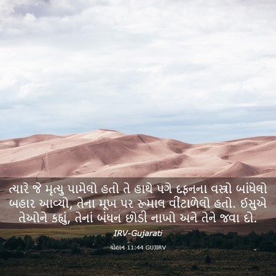 Picture 03 - યોહાન 11:44 GUJIRV - ત્યારે જે મૃત્યુ - Bible Verse Picture