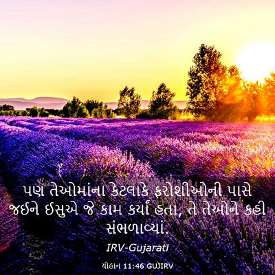 Picture 03 - યોહાન 11:46 GUJIRV - પણ તેઓમાંના - Bible Verse Picture