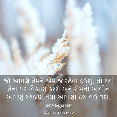 Picture 03 - યોહાન 11:48 GUJIRV - જો આપણે તેમને એમ જ - Bible Verse Picture