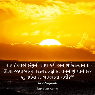 Picture 03 - યોહાન 11:56 GUJIRV - માટે તેઓએ ઈસુની - Bible Verse Picture