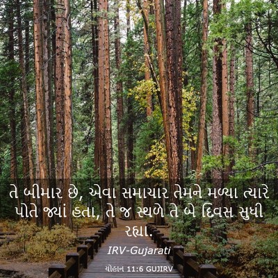 Picture 03 - યોહાન 11:6 GUJIRV - તે બીમાર છે, એવા - Bible Verse Picture
