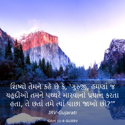 Picture 03 - યોહાન 11:8 GUJIRV - શિષ્યો તેમને કહે - Bible Verse Picture
