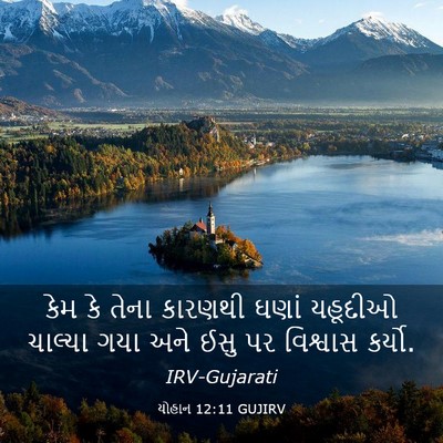 Picture 03 - યોહાન 12:11 GUJIRV - કેમ કે તેના કારણથી - Bible Verse Picture