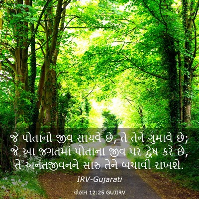 Picture 03 - યોહાન 12:25 GUJIRV - જે પોતાનો જીવ - Bible Verse Picture