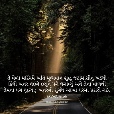 Picture 03 - યોહાન 12:3 GUJIRV - તે વેળા મરિયમે અતિ - Bible Verse Picture