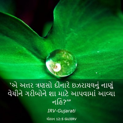 Picture 03 - યોહાન 12:5 GUJIRV - ‘એ અત્તર ત્રણસો - Bible Verse Picture