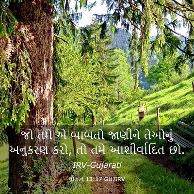 Picture 03 - યોહાન 13:17 GUJIRV - જો તમે એ બાબતો - Bible Verse Picture