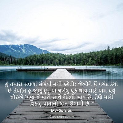 Picture 03 - યોહાન 13:18 GUJIRV - હું તમારા સઘળાં - Bible Verse Picture