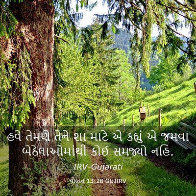 Picture 03 - યોહાન 13:28 GUJIRV - હવે તેમણે તેને શા - Bible Verse Picture