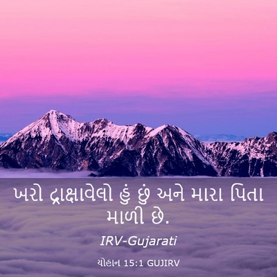 Picture 03 - યોહાન 15:1 GUJIRV - ખરો દ્રાક્ષાવેલો - Bible Verse Picture