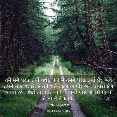 Picture 03 - યોહાન 15:16 GUJIRV - તમે મને પસંદ કર્યો - Bible Verse Picture