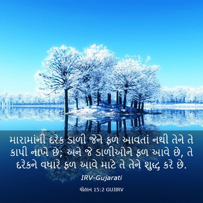Picture 03 - યોહાન 15:2 GUJIRV - મારામાંની દરેક - Bible Verse Picture