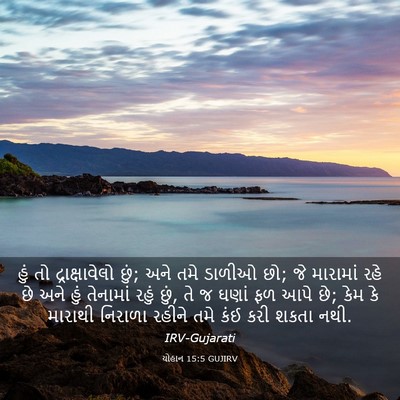Picture 03 - યોહાન 15:5 GUJIRV - હું તો - Bible Verse Picture