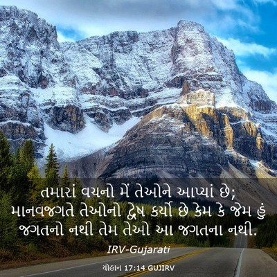 Picture 03 - યોહાન 17:14 GUJIRV - તમારાં વચનો મેં - Bible Verse Picture