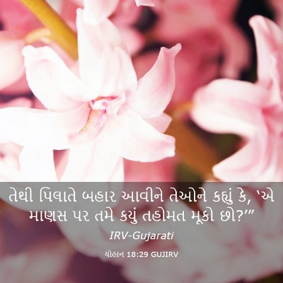 Picture 03 - યોહાન 18:29 GUJIRV - તેથી પિલાતે બહાર - Bible Verse Picture